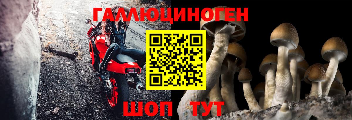 Галлюциногенные грибы мицелий Томск