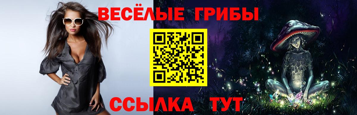Псилоцибиновые грибы мухоморы  Псилоцибиновые грибы Psilocybe  Томск  Вход с VPN 